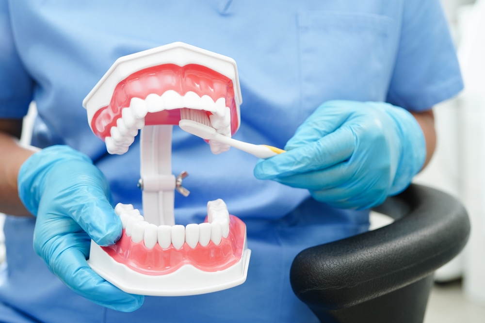 Dentist showing how to brush teeth - Dentures in Federal Way Dentist showing how to brush teeth - Dentures in Federal Way